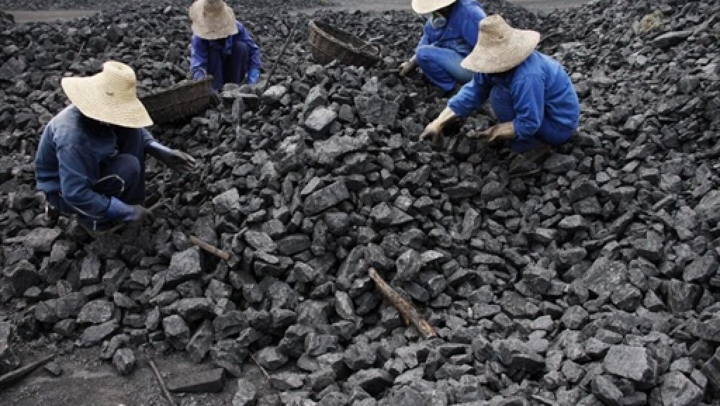 Shandong Coal Industry